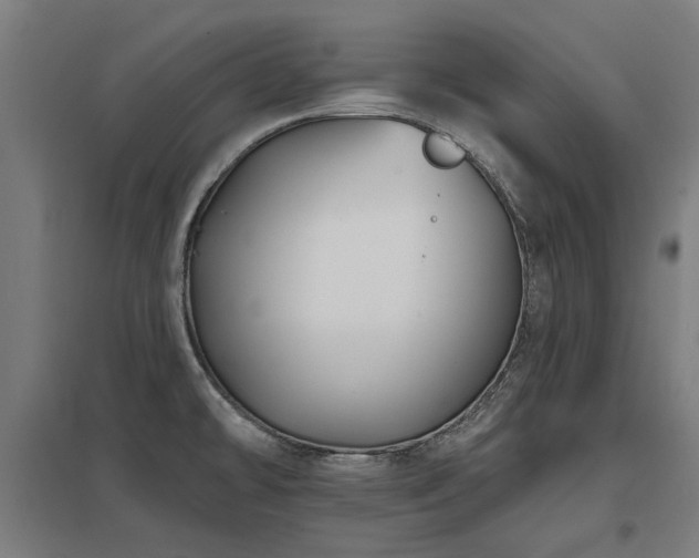 X0000098051478200803281442
