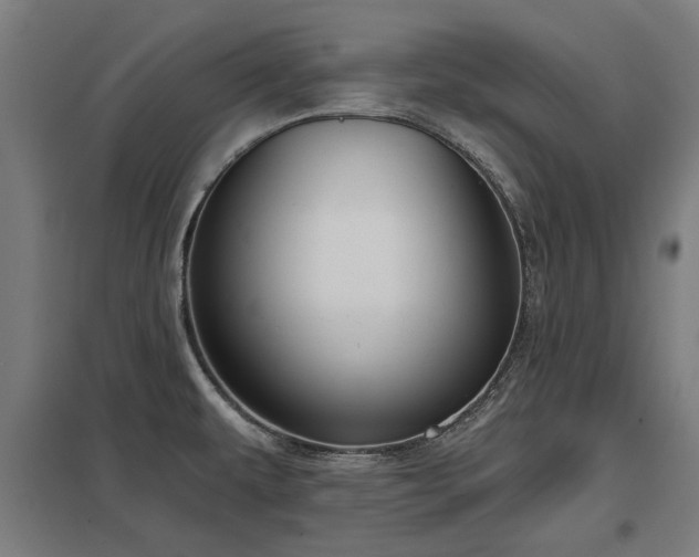 X0000098051479200803281442