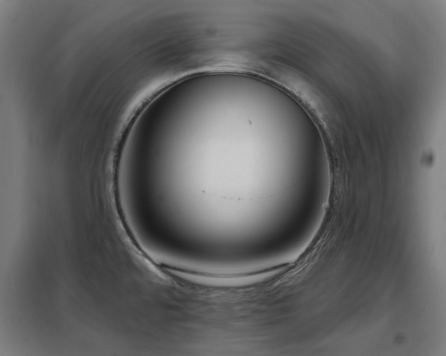 X0000098051480200803281442