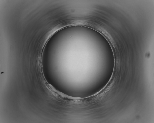 X0000098051481200803281442