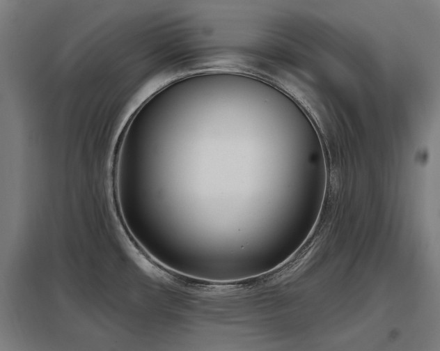 X0000098051482200803281442