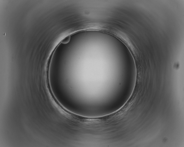 X0000098051483200803281442