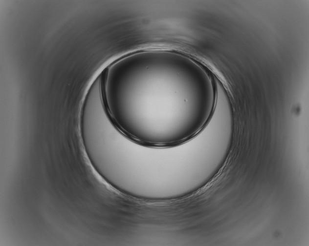 X0000098051484200803281442