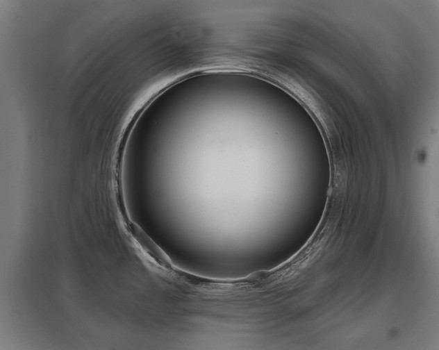 X0000098051485200803281442