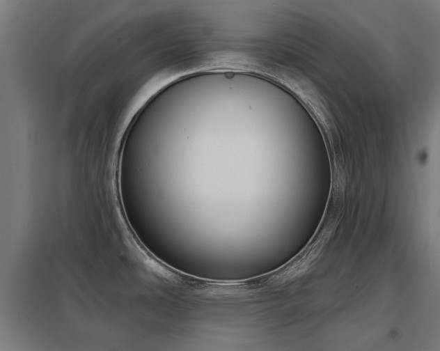 X0000098051486200803281442