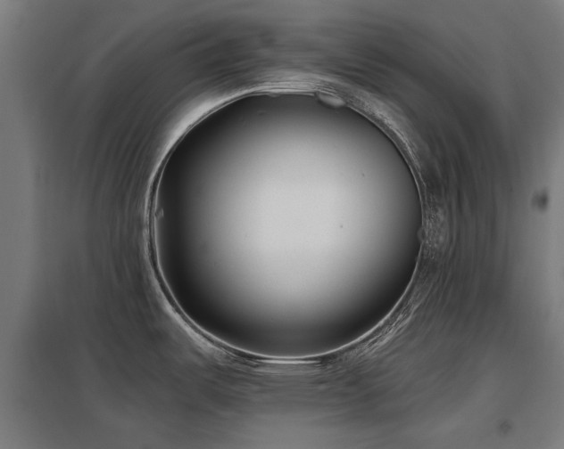 X0000098051487200803281442
