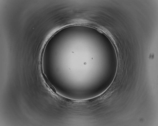 X0000098051488200803281442