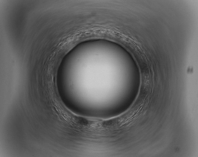 X0000098051489200803281442