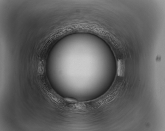 X0000098051491200803281442