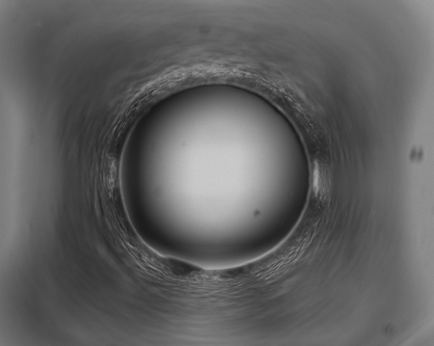X0000098051492200803281442