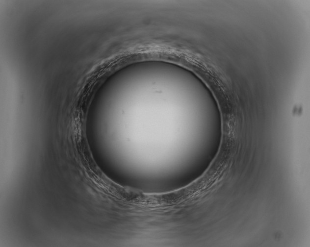 X0000098051493200803281442