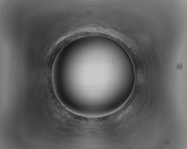 X0000098051494200803281442