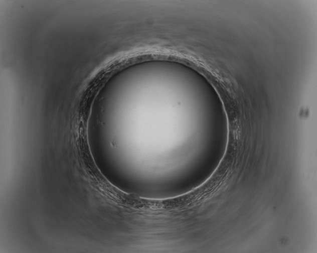 X0000098051495200803281442
