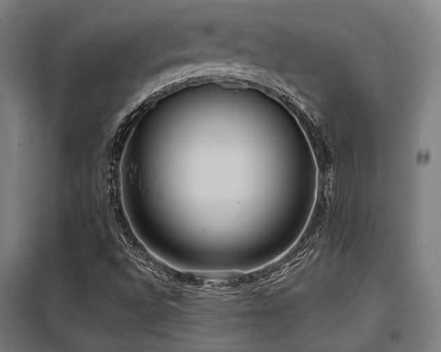 X0000098051496200803281442