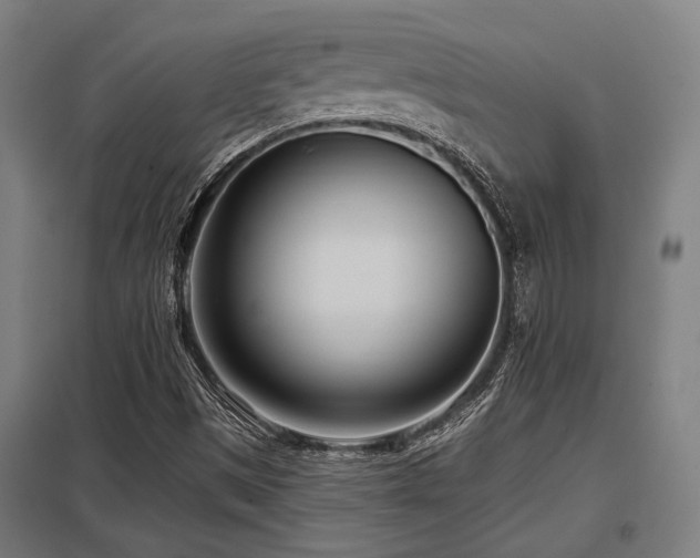 X0000098051497200803281442