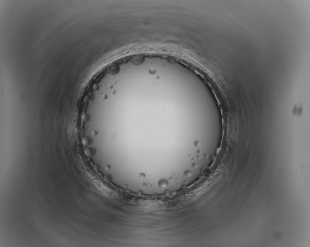 X0000098051498200803281442