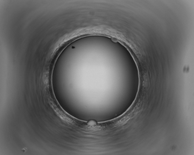 X0000098051499200803281442