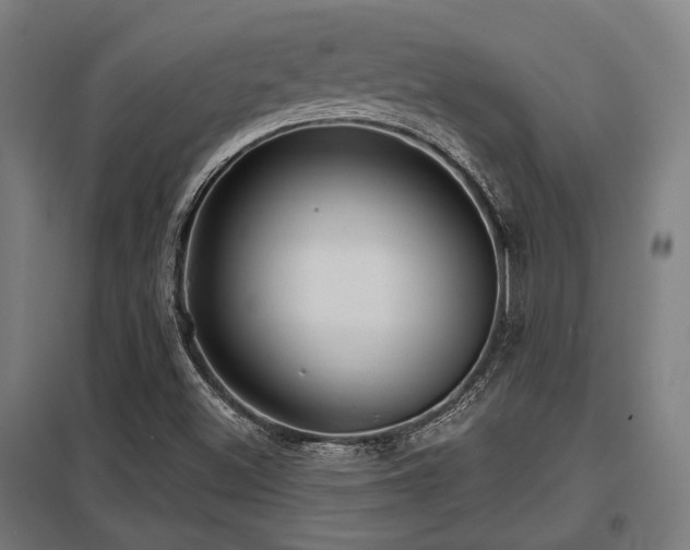 X0000098051500200803281442