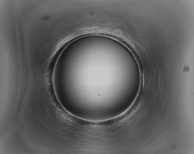 X0000098051501200803281442