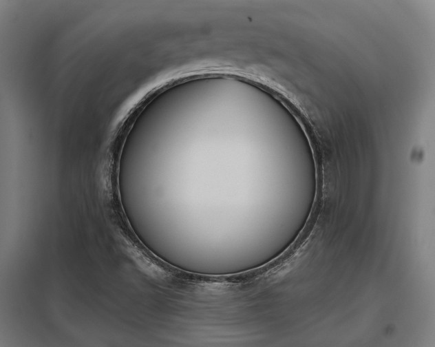 X0000098051502200803281442