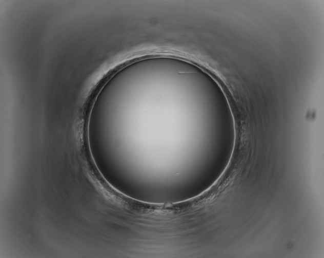 X0000098051503200803281442