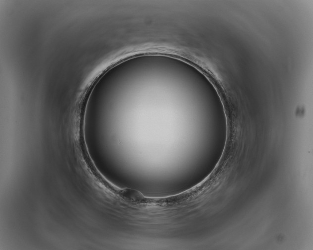 X0000098051504200803281442