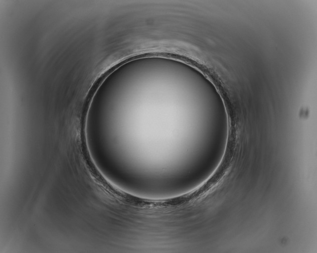 X0000098051505200803281442