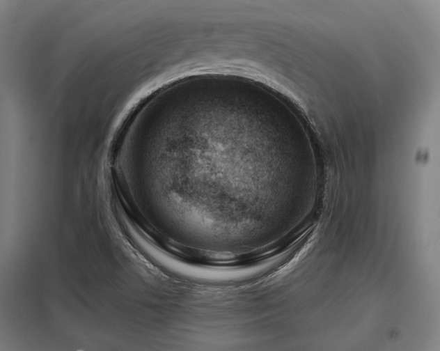 X0000098051506200803281442