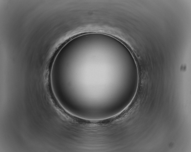 X0000098051507200803281442