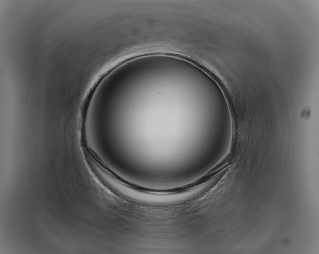 X0000098051508200803281442