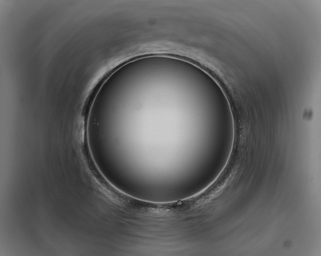 X0000098051509200803281442