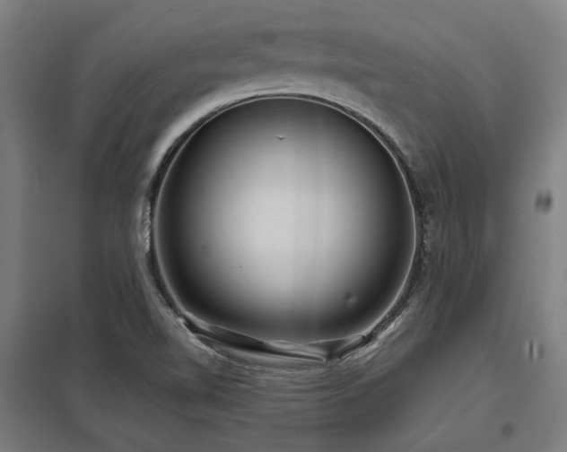 X0000098051510200803281442