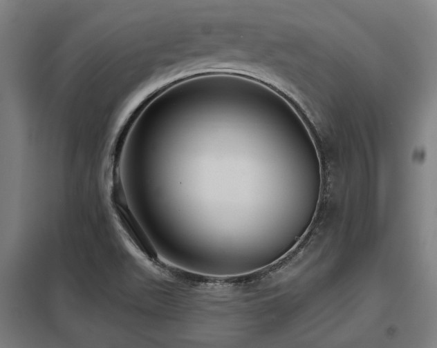 X0000098051511200803281442