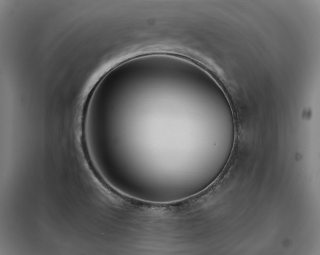 X0000098051512200803281442