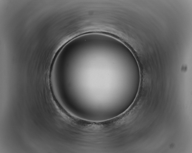 X0000098051513200803281442