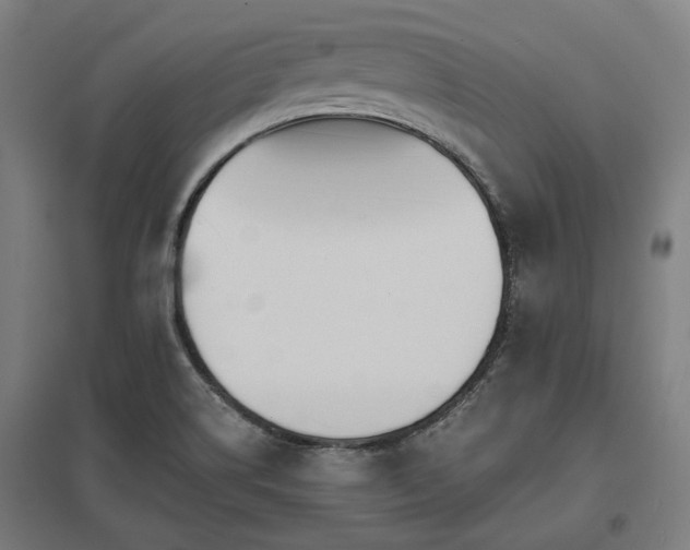 X0000098051514200803281442
