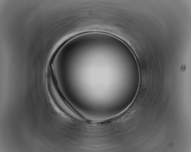 X0000098051515200803281442