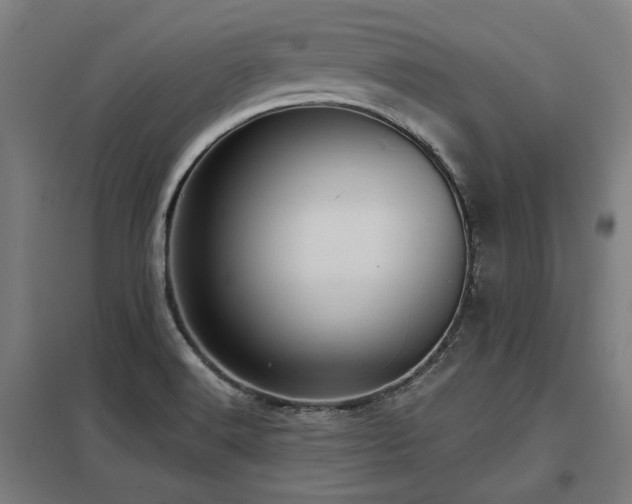 X0000098051516200803281442