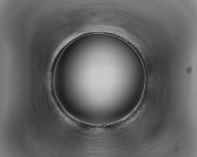 X0000098051517200803281442
