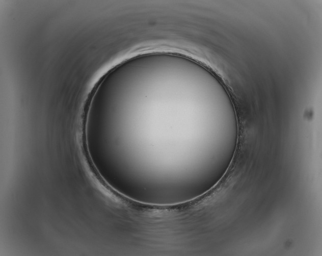 X0000098051518200803281442