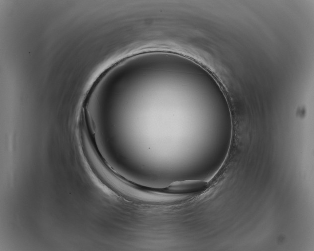 X0000098051519200803281442