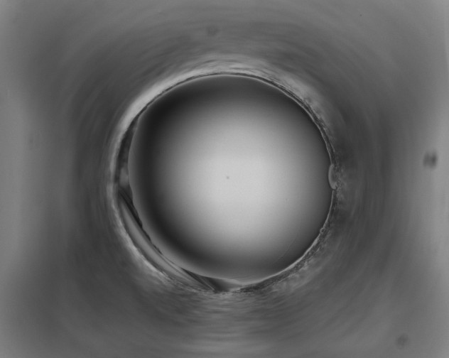 X0000098051520200803281442