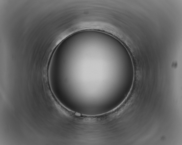 X0000098051521200803281442