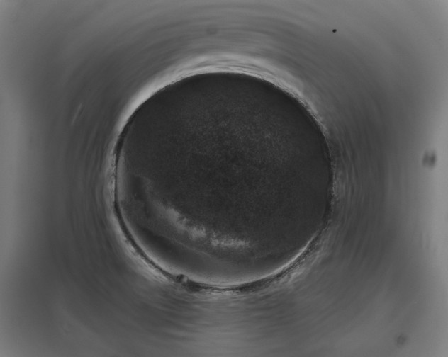 X0000098051522200803281442