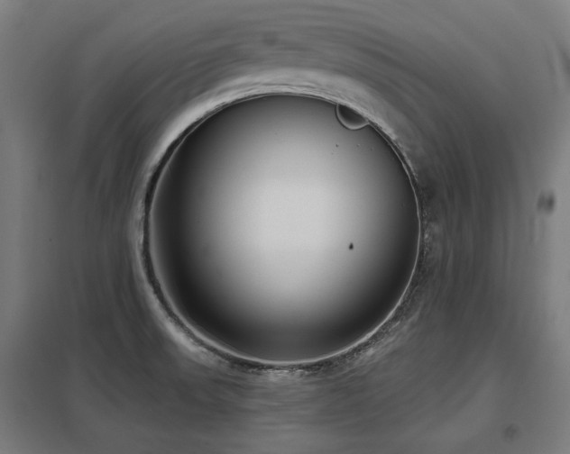 X0000098051523200803281442
