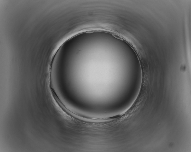 X0000098051524200803281442