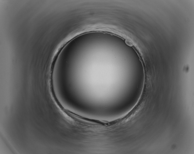 X0000098051525200803281442