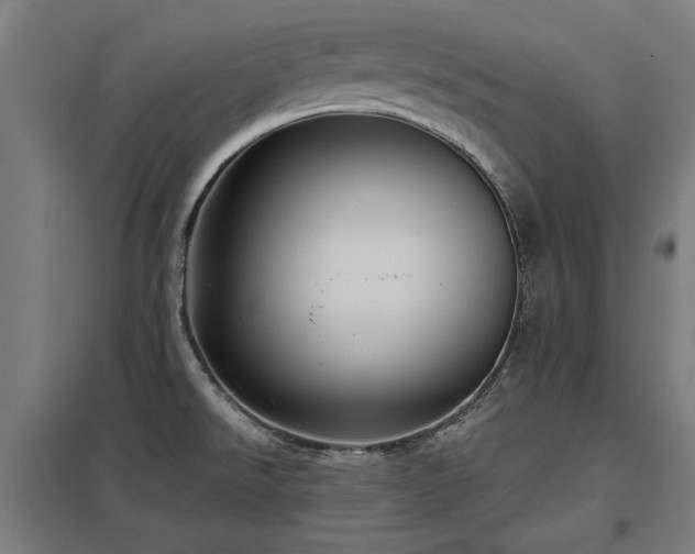 X0000098051526200803281442
