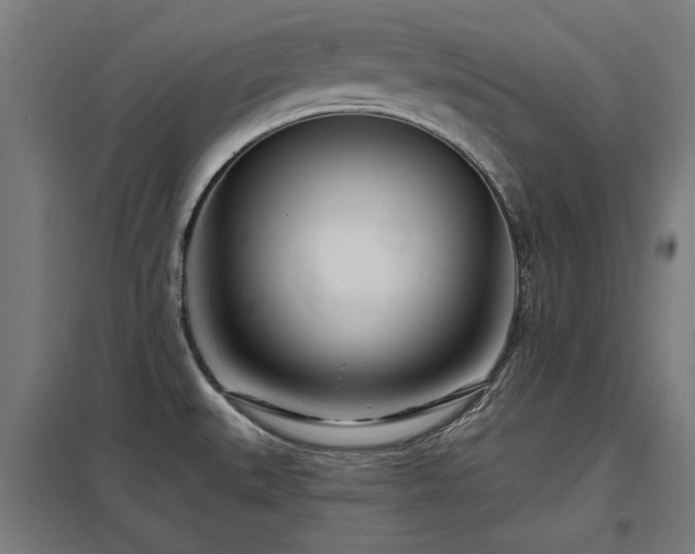 X0000098051527200803281442