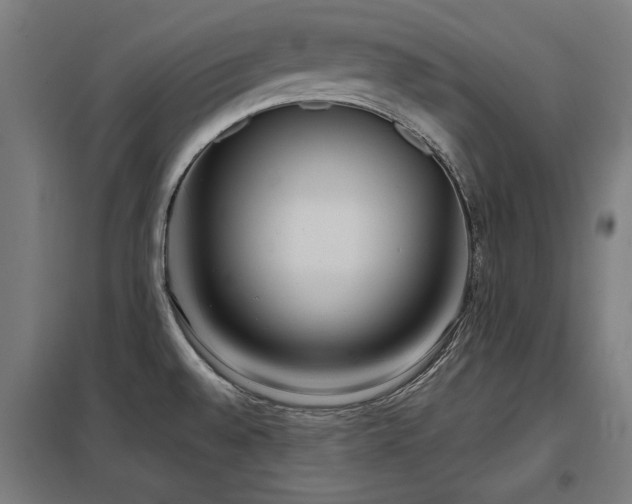 X0000098051528200803281442